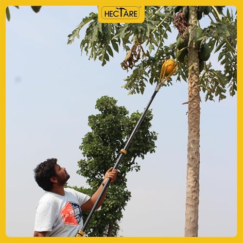 Image of HECTARE Papaya Harvesting Tool Head Without Pole | Durable Powder-Coated Steel Fruit Picker Attachment | Easy to Fit | Ideal for Tall Fruit Trees