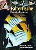  Falterfische: Chaetodontidae (Marine Fischfamilien)