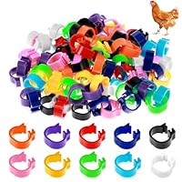 Tyqour 10mm 100 Stück Geflügel Fußringe mit Bunter, 10 Farben Klein Geflügel Band Hühnerringe Brieftaubenfußring Taubenring Fußring zum Markierung für Vogel, Papagei, Taube, Wachtel, Küken