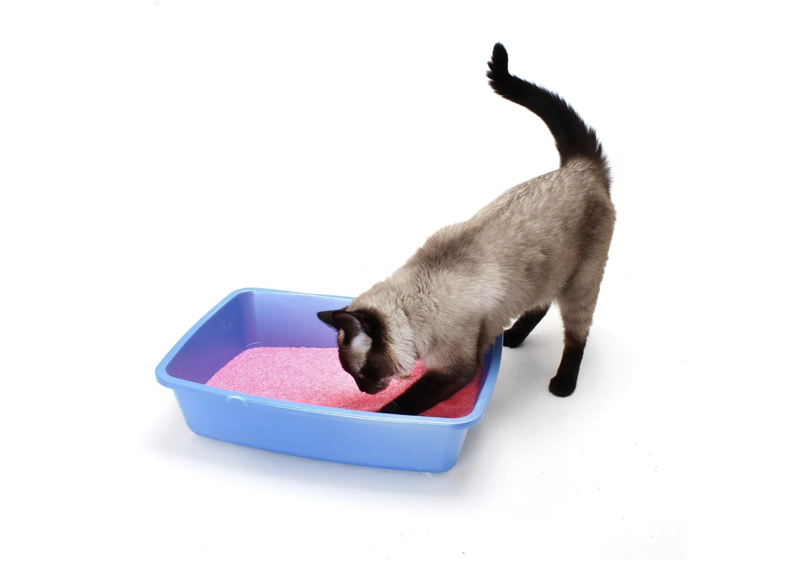 Ultra Pet NEON Pink Cat Litter Clumping Crystals Soft Super Absorbent 4lbs Bag