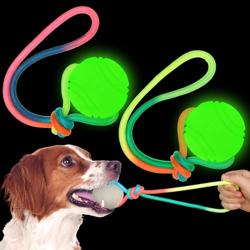 Hollowfly HOLLOWFLY-BALLS-234 2 Pcs Dog Training Ball On Rope Glow In The Dark Dog Ball 2.36 Inch Dog Rope Toys cover