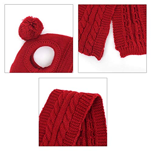 Van Caro Knitted Doggie Scarf And Hat Set Puppy Dogs Cats Lovely Fall Winter Outfits (Red) #TOP3