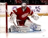 Alex Lyon Signed Detroit Wings 8x10 Photo JSA COA - Autographed NHL Photos
