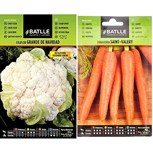Coliflor grande NAVIDAD (dic-en) & Zanahoria SAINT VALERY