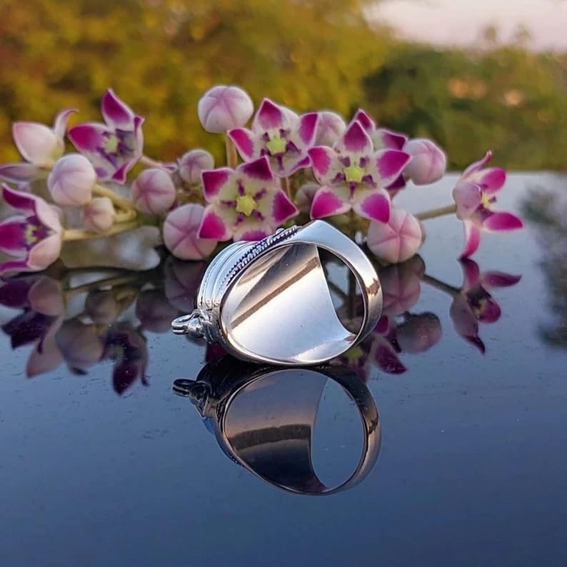 Black Onyx Ring, Poison Box Ring, Black Stone Ring, Birthstone Ring, Locket Ring, Poison Pill Box, Designer Box Ring, Healing Crystal Ring, Secret Message Ring, Natural Black Onyx Jewelry