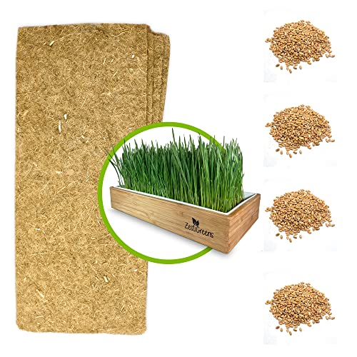 Semillas De Hierba Para Gatos Country Creek - 16 Oz (453g), Mezcla De Microgreens, Fácil Cultivo