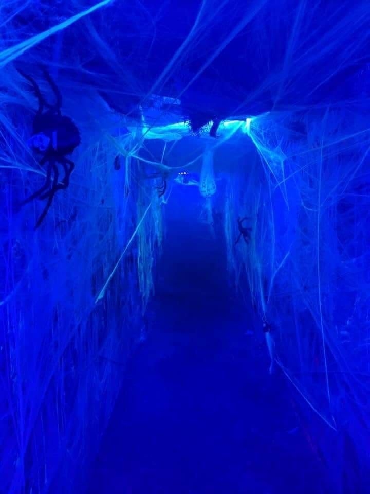 Miniatura 7 de Hompavo Paquete de 2 bombillas LED moradas parpadeantes con efecto invertido, base E26E27, 3W, decoración para Halloween, Navidad, fiesta,