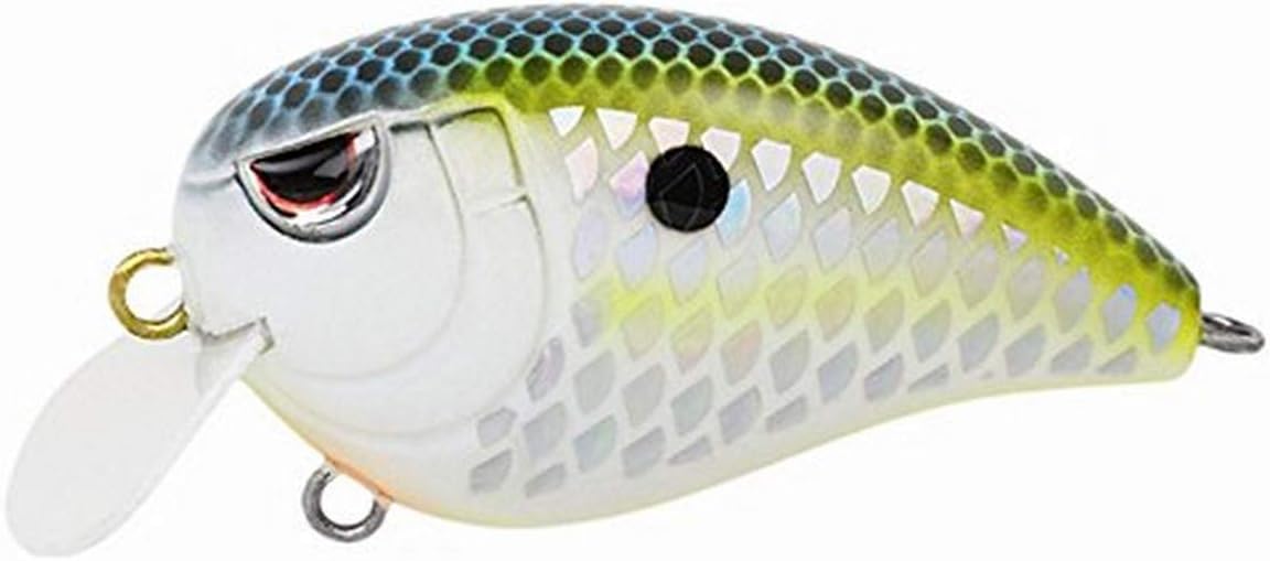 SPRO Fishing SFJ50CTN Fat John 50 Fishing Lures, Citrus Nasty