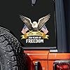 2pcs/Set 250th Anniversary USA Car Decal The Independence of USA Sticker 250 Years American Flag Vinyl Decal Bumper Sticker for Car Windows,Refrigerator (Bald Eagle) #1