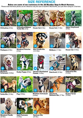 Image of Voyager Step-in Air Dog Harness w /Leash - All Weather Mesh Step in Vest Harness for Small and Medium Dogs by Best Pet Supplies - Black, M (Pack of 2)