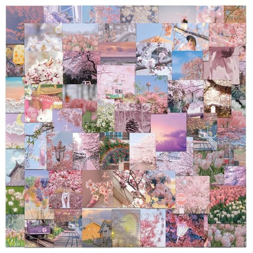 65Zbg sNi [h V[ \tgtB^[ K[[tHg XebJ[ h fJ[   lC m[gp\R p\R Xm{ XP[g{[h ו X[cP[X M^[  X}zP[X XP{[ J[ ]