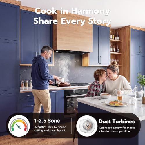 Image of 36 inch Range Hood Insert, 900 CFM Ducted /Ductless Black Range Hood