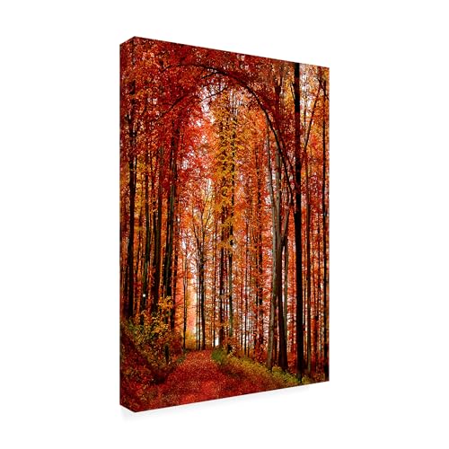 The Red Way by Philippe Sainte-Laudy, 30x47-Inch Canvas Wall Art