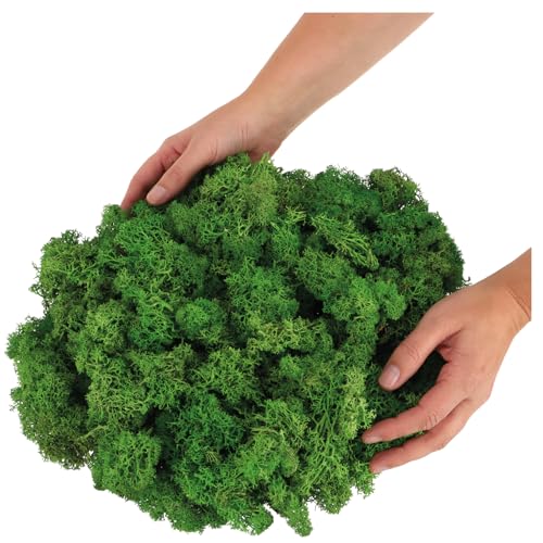 com-four® 250g Oster-Dekomoos – Bastel-Moos, Naturmoos, echtes Deko-Moos zum Basteln & Dekorieren, Moos für Osterdeko, Frühling, Tischdeko, Kränze, Nester, Modellbau & Natur (Deko-Moos - 250g)