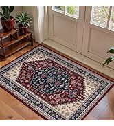 Tangsoo Vintage 2x3 Entry Rug,Washable Indoor Rug for Entryway,Non-Slip Small Throw Mat Soft Low ...