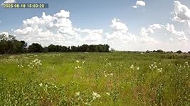 Review Image by Amanda Wimberley