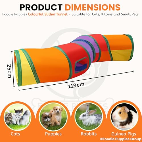 Image of Foodie Puppies Colorful Cat Tunnel Toy for Indoor Cats (Slither Tunnel) | Foldable Interactive Play Tunnel with Peek Hole & Hanging Ball | Collapsible Pet Tube for Cats, Kittens, Rabbits & Guinea Pigs