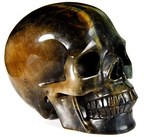 Skullis 1.9-4.8" Blue Gold Tiger Eye Crystal Skull, Realistic, Hand Carved Gemstone Fine Art Sculpture, Reiki Healing Stone Statue. #TOP2