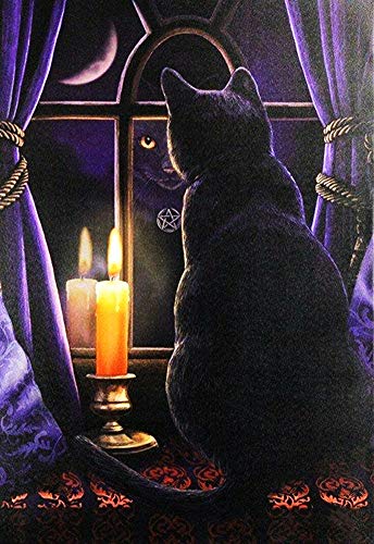 DIY Handwork Store 5D Full Round Diamond Painting Kits Cat Candle Animal Art