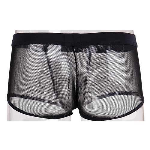 Evankin Men's Underwear Sexy Mesh Breathable Boxer Briefs Low Rise Cool Valentines Boxers Pack Set4