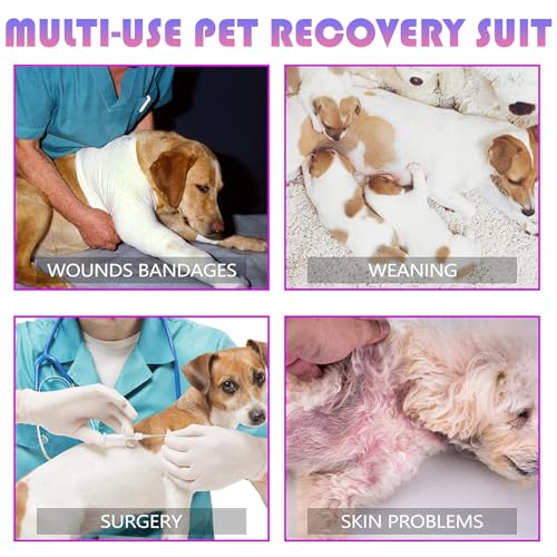 TYXHXTF Hundebody Nach Op Kastration, Erholungsanzug für Hunde, Hundebody Nach Kastration Rüde Hündin, Wundschutzanzüge für Hunde, Hundebody Nach Op Hündin, Body Suit Nach Der Operation Hund, Pink L