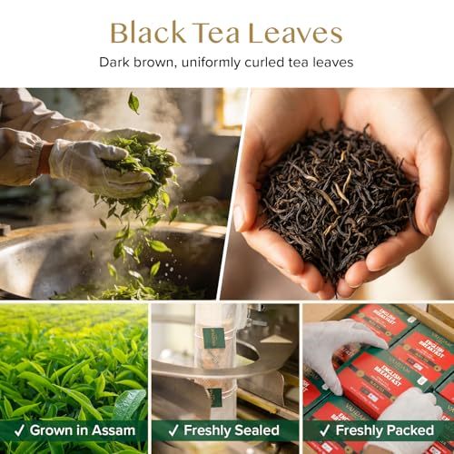 Image of VAHDAM, English Breakfast Black Tea Bags (30 Count) High Caffeine | Strong, Robust & Flavoury | Individually Wrapped Pyramid Tea Bags | Full Bodied Black Tea Leaves