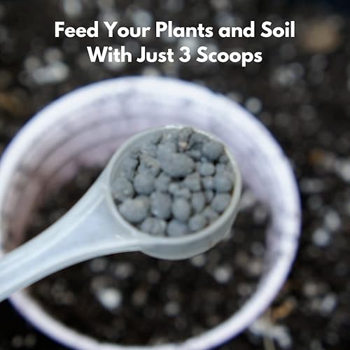 Miniatura 2 de Inicio | Hongos micorrízicos y potenciador de suelo de harina de algas marinas orgánicas para trasplante y aderezo | Potenciador de raíces y