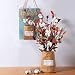 HUAESIN 2pcs Flores Secas Naturales Algodon Decoracion 57cm Rama Algodon Artificial con...