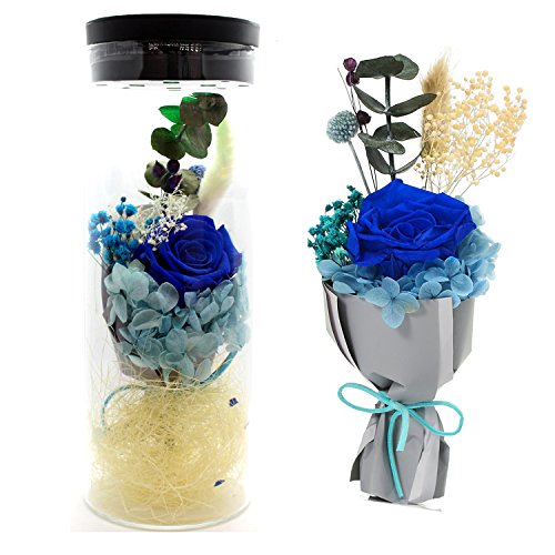 MXIN [Nouvelle Version 2018] Jamais fané Roses Fleur avec coloré LED Humeur lumière Naturelle fraîche