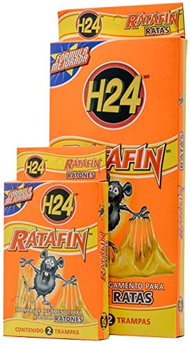 h24 verdugo Marca H24