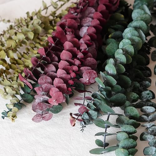 10 unidades Hojas de Eucalipto Seco Decorativo Natural miniatura 4
