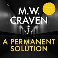 A Permanent Solution cover art