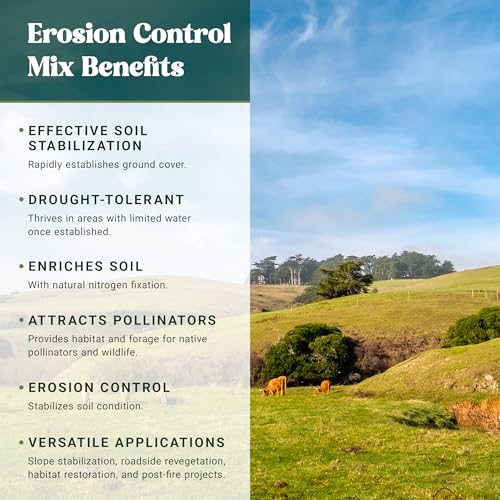Grass Seed Blends For Erosion Control On Slopes