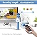Wireless Bluetooth Karaoke Microphone Machine,Portable Handheld Karaoke Bluetooth Handheld Karaoke Speaker Player Machine for Kids Adults Home KTV Party for Android/Iphone/Ipad/Pc Girl Boy (Blue)