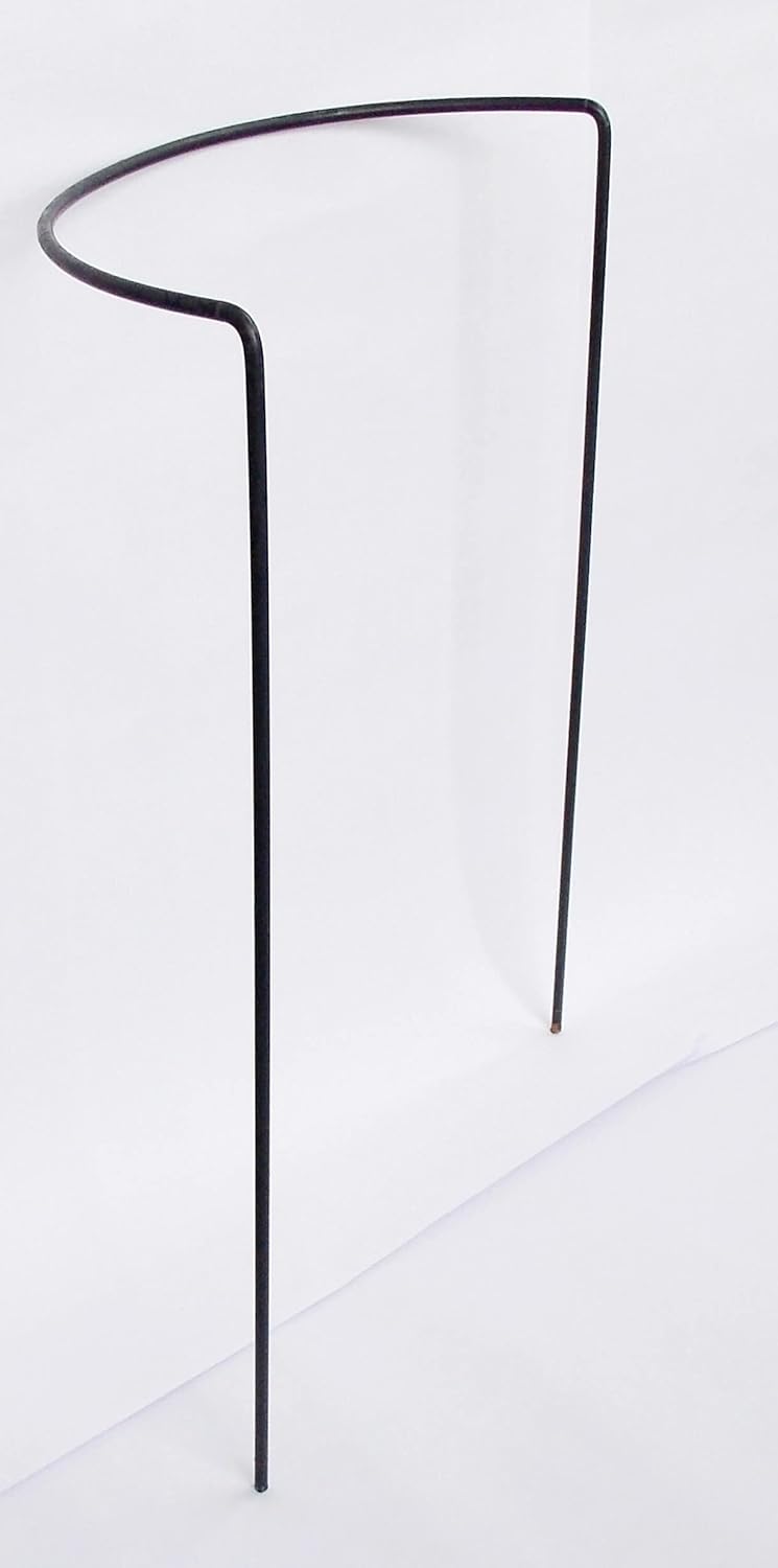 フラワーサポートＲ5本組