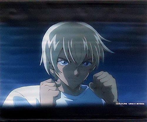 Amazon 名探偵コナン 純黒の悪夢 劇場版タペストリー 安室透 ファイティングポーズ アニメ 萌えグッズ 通販