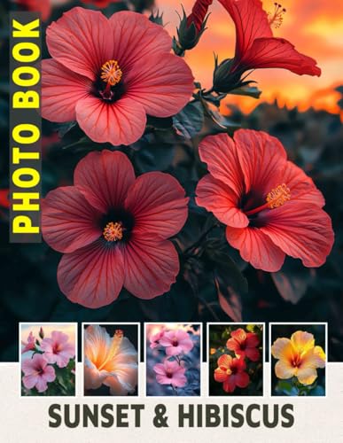 Sunset & Hibiscus: Classic Car Collection Featuring Iconic 60s Coupes In Stunning High-Resolution Images