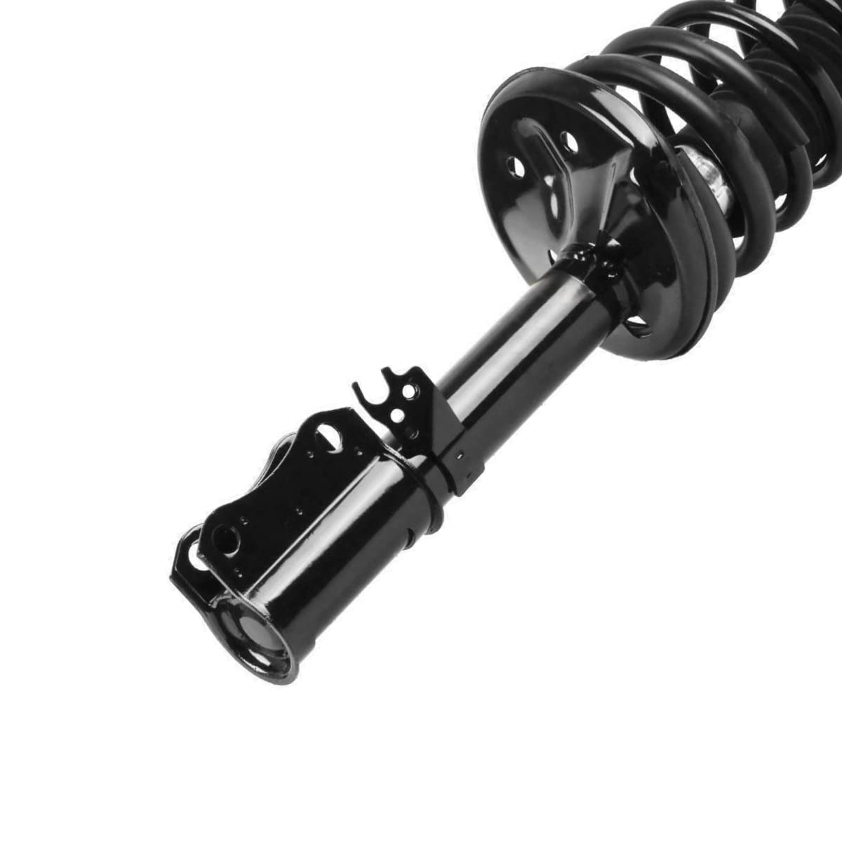 Amazon.com: AutoShack Rear Complete Strut Coil Spring Passenger 