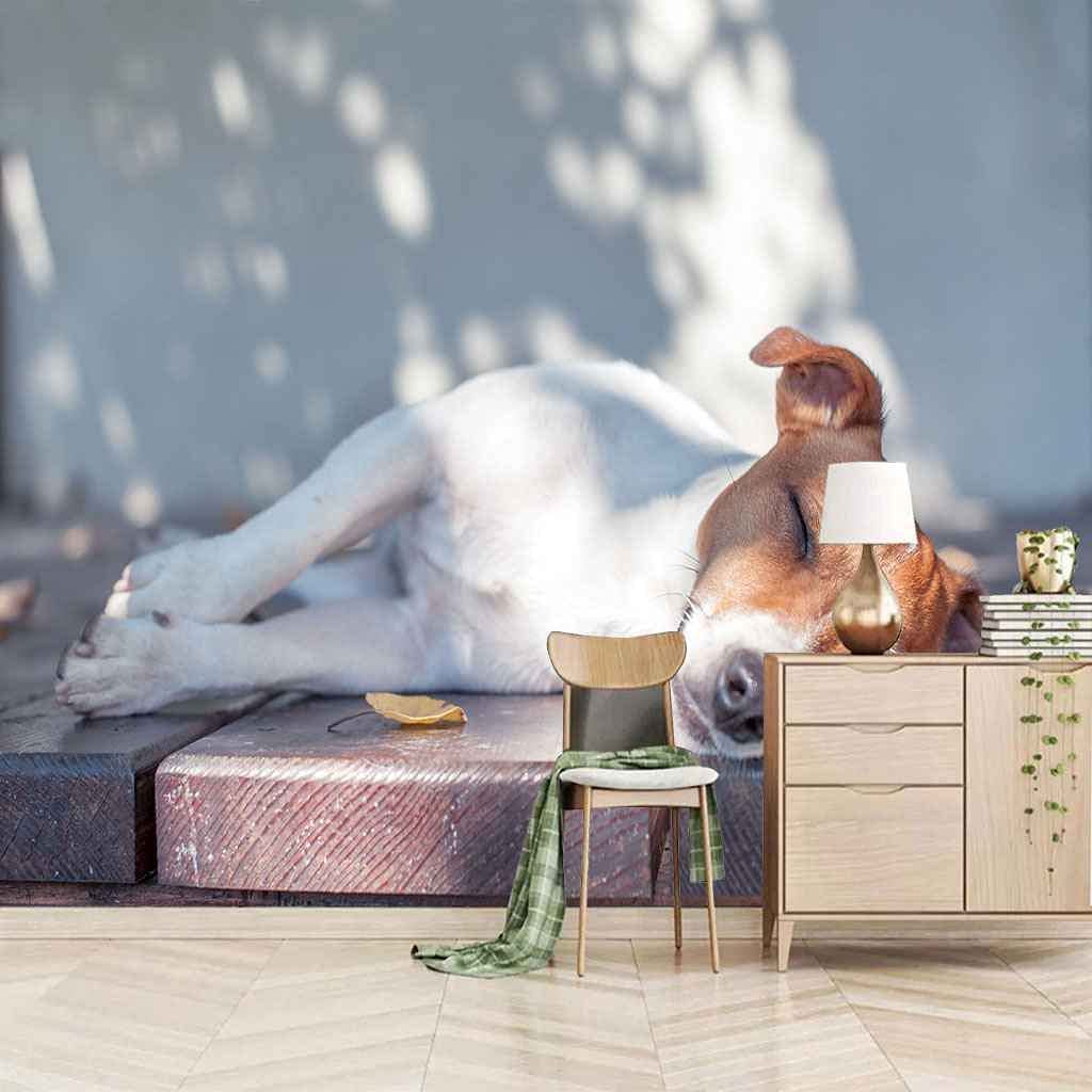Perro Animal 3D Mural Wallpaper, Póster De Pared Peel And Stick, Murales, Sala De Estar Moderna, Dormitorio, Fondo, Pintura De Pared, Papel Tapiz Artístico, Carteles De Pared 300(ancho) x210(alto) cm