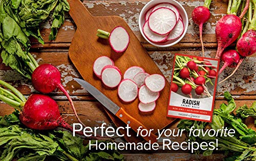 Radish Seeds For Planting - Cherry Belle Variety Heirloom, Non-Gmo Vegetable Seed - 2 Grams Of Seeds Great For Outdoor Spring, Winter And Fall Gardening By Gardeners Basics #TOP2