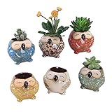 LANKER 6 Pack 3.1 Inch Mini Owl Pots Flowing Glaze Ceramic Succulent Planter Plant Container(3.1 inch 6pcs)