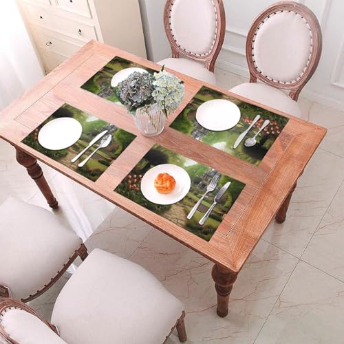 Sets de table en PVC lavables pour repas en intérieur et extérieur pack de 4 tapis - 6