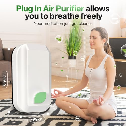 Limpin Plug In Air Ionizers-4Pack, Negative Ion Air Purifier for Home Quiet Operation Ionic Air Purifier - image 7