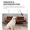 Dog Training Toys and Agility Kits