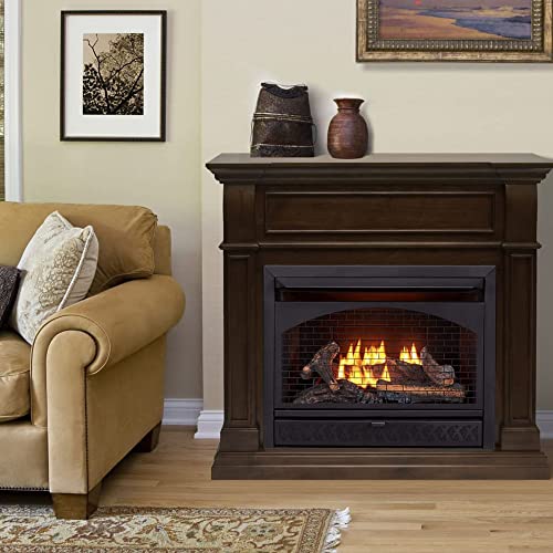 Procom Dual Fuel Ventless Gas Fireplace - 26,000 Btu, T-Stat Control, Walnut Finish - Model# Fbnsd28T-J-W #TOP1