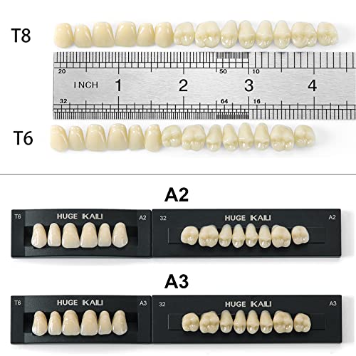 Image of Dental Acrylic Resin Denture False Teeth A3, T6 Synthetic Polymer Resin Fake Teeth for Replacement, Halloween, DIY (28 Pcs /Set)