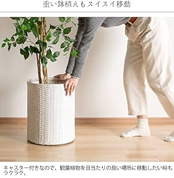 ACTUS アクタス キャスター付き鉢カバー プラントポット M