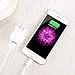 iPhone Charger Compatiblile with iPad Charger 2.4A 12W USB Charger + 6FT Charging Cable, Compatible with iPhone X/8/8Plus/7/7Plus/6s/6sPlus/6/6Plus/SE/5s/5, Pad 4/Mini/Air/Pro, Pod