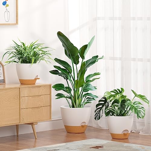 FIASON Plant Pots Self Watering Planters 12/10/9 Inch Plastic Flower Pot with Drainage Holes and Watering Lip for Indoor Outdoor Plants (3 Pack,White) by FIASON - Used condition - Image 7