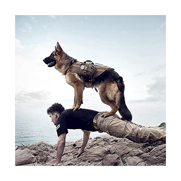Tactical Dog Harness with 3 Pouches